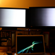 Image for article titled Our HDTV Cage Match Between Sharp's Aquos LCD and Pioneer's Elite Plasma